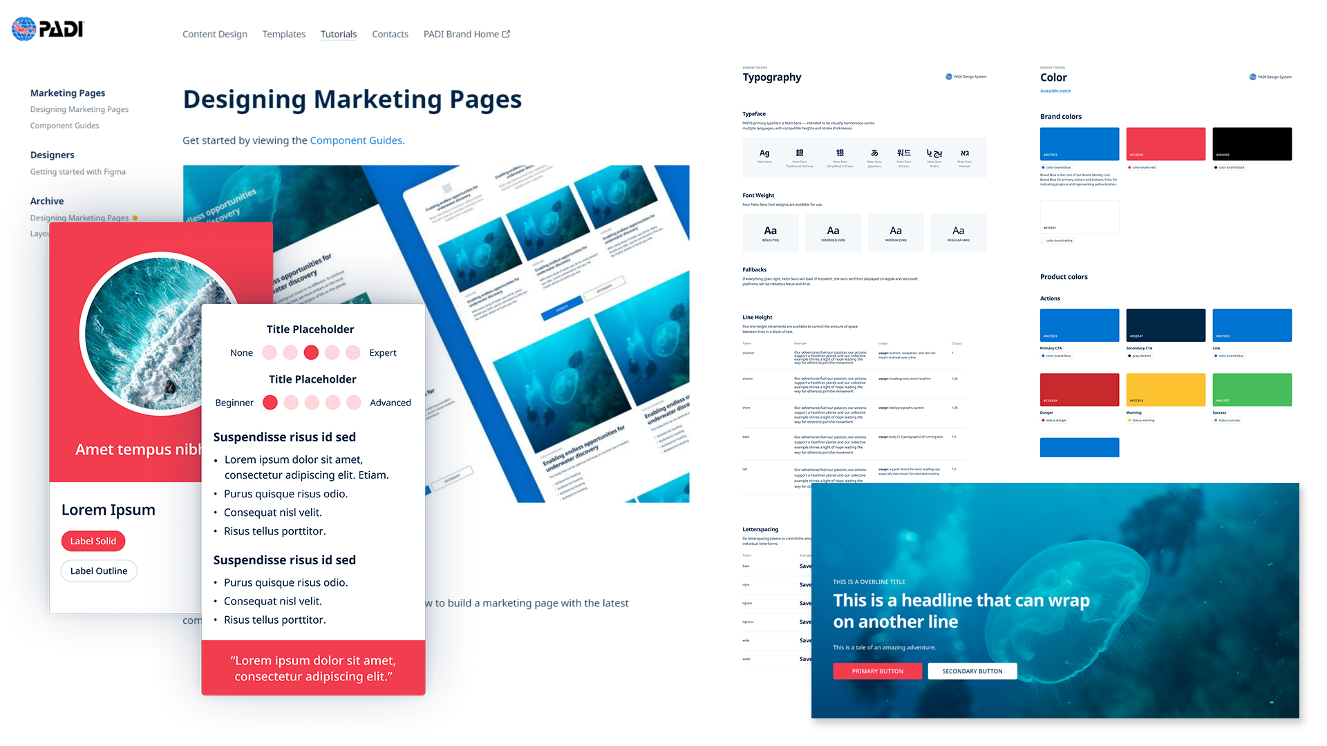 work-padi-hero-full-design-standards